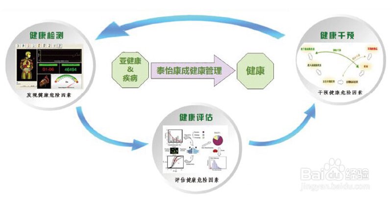如何选择适合的健康评估服务?